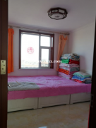 云冈区高庄村新楼房出售